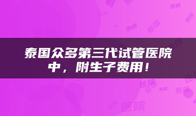 泰国众多第三代试管医院中，附生子费用！
