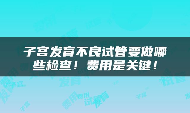 子宫发育不良试管要做哪些检查！费用是关键！