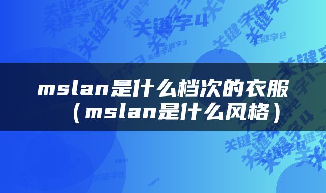 mslan是什么档次的衣服（mslan是什么风格）