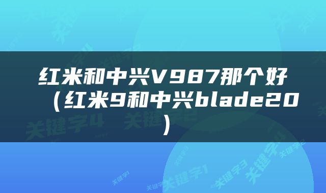 红米和中兴V987那个好（红米9和中兴blade20）