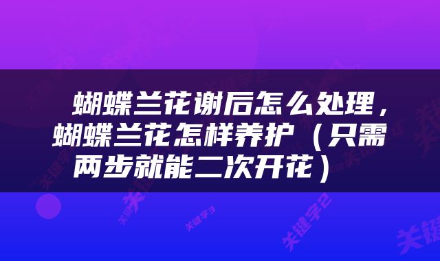  蝴蝶兰花谢后怎么处理，蝴蝶兰花怎样养护（只需两步就能二次开花） 
