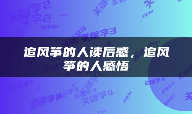 追风筝的人读后感，追风筝的人感悟