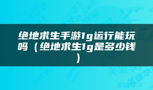 绝地求生手游1g运行能玩吗（绝地求生1g是多少钱）