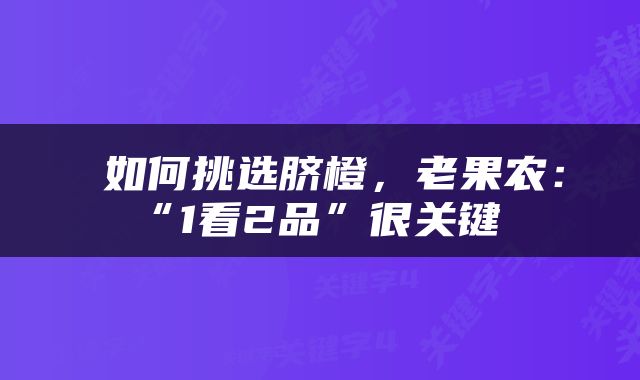  如何挑选脐橙，老果农：“1看2品”很关键 