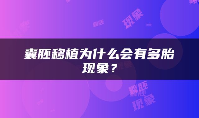 囊胚移植为什么会有多胎现象？