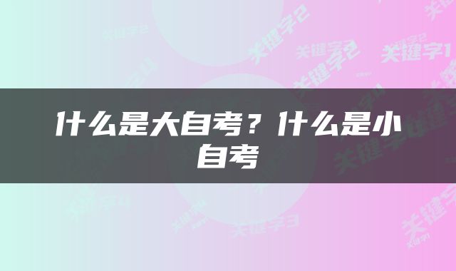 什么是大自考？什么是小自考
