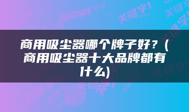 商用吸尘器哪个牌子好？(商用吸尘器十大品牌都有什么)