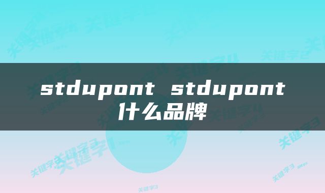 stdupont stdupont什么品牌