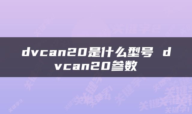dvcan20是什么型号 dvcan20参数