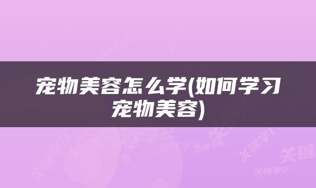 宠物美容怎么学(如何学习宠物美容)