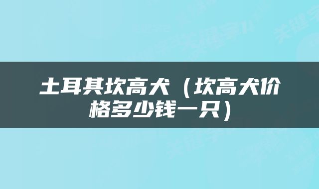 土耳其坎高犬(坎高犬价格多少钱一只)