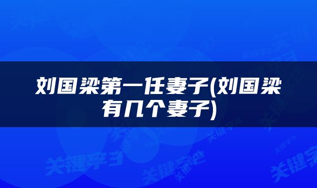 刘国梁第一任妻子(刘国梁有几个妻子)