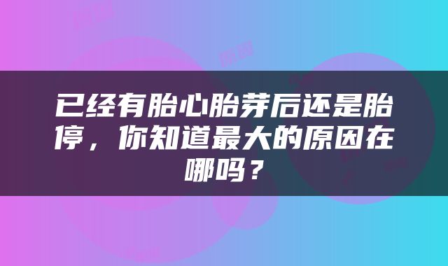 已经有胎心胎芽后还是胎停，你知道最大的原因在哪吗？