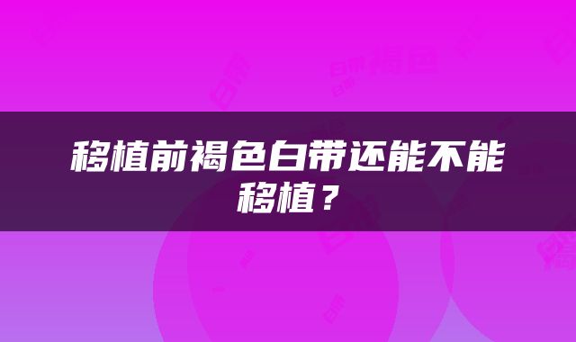 移植前褐色白带还能不能移植?