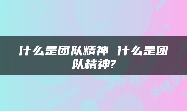 什么是团队精神 什么是团队精神?