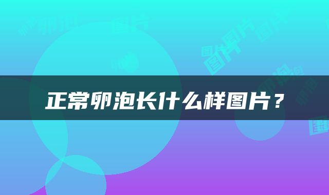 正常卵泡长什么样图片？