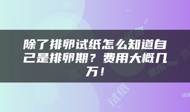 除了排卵试纸怎么知道自己是排卵期？费用大概几万！