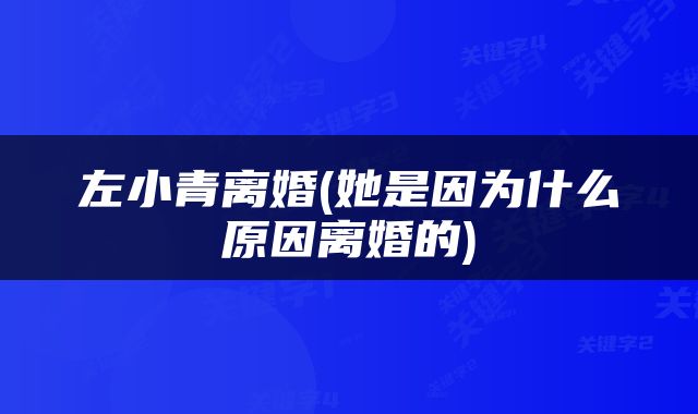 左小青离婚(她是因为什么原因离婚的)