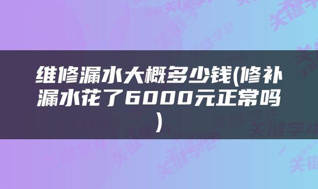 维修漏水大概多少钱(修补漏水花了6000元正常吗)
