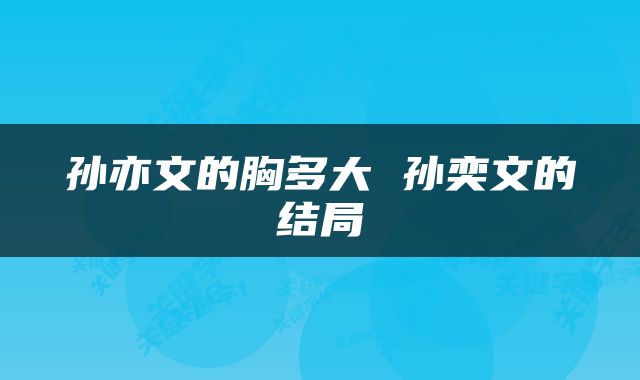 孙亦文的胸多大 孙奕文的结局