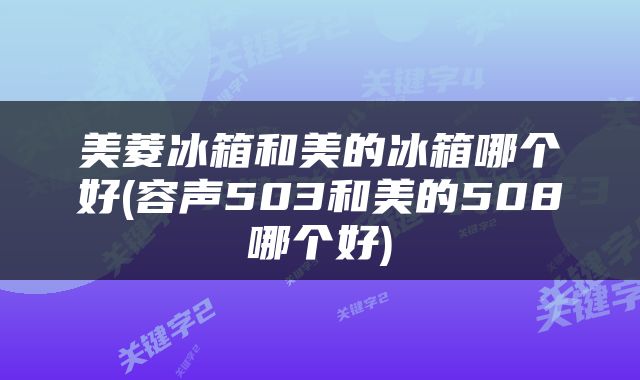 美菱冰箱和美的冰箱哪个好(容声503和美的508哪个好)