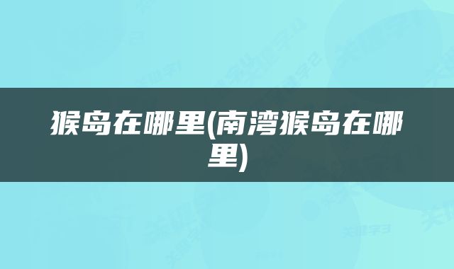 猴岛在哪里(南湾猴岛在哪里)
