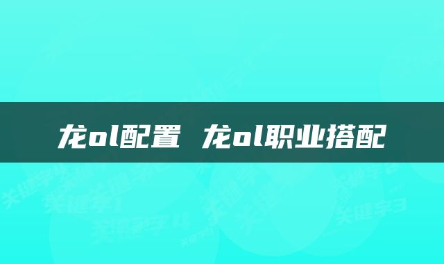 龙ol配置 龙ol职业搭配