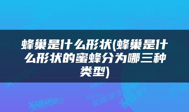 蜂巢是什么形状(蜂巢是什么形状的蜜蜂分为哪三种类型)