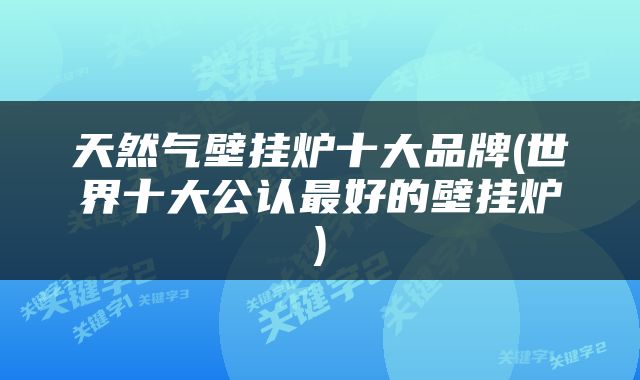 天然气壁挂炉十大品牌(世界十大公认最好的壁挂炉)