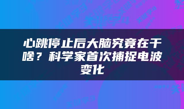 心跳停止后大脑究竟在干啥?科学家首次捕捉电波变化