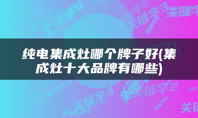 纯电集成灶哪个牌子好(集成灶十大品牌有哪些)