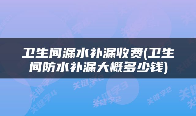 卫生间漏水补漏收费(卫生间防水补漏大概多少钱)