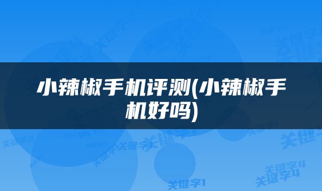 小辣椒手机评测(小辣椒手机好吗)