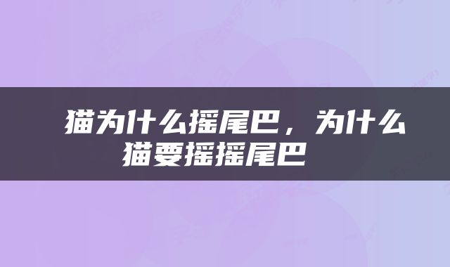  猫为什么摇尾巴，为什么猫要摇摇尾巴 