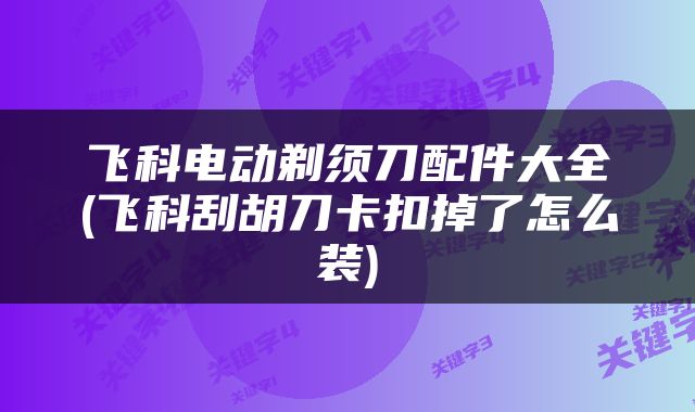 飞科电动剃须刀配件大全(飞科刮胡刀卡扣掉了怎么装)