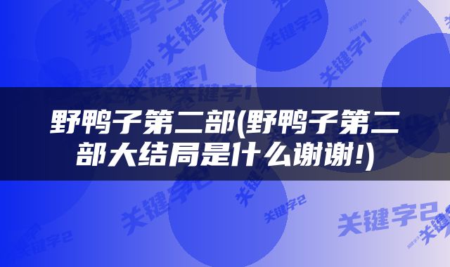 野鸭子第二部(野鸭子第二部大结局是什么谢谢!)