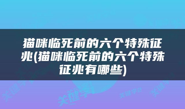 猫咪临死前的六个特殊征兆(猫咪临死前的六个特殊征兆有哪些)