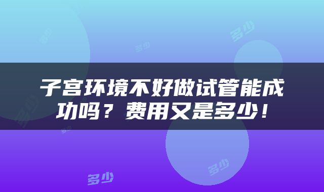 子宫环境不好做试管能成功吗？费用又是多少！