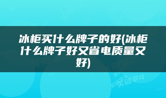 冰柜买什么牌子的好(冰柜什么牌子好又省电质量又好)