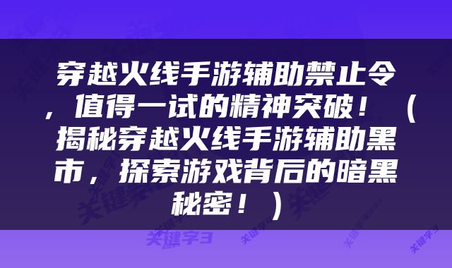 穿越火线手游辅助禁止令，值得一试的精神突破！（揭秘穿越火线手游辅助黑市，探索游戏背后的暗黑秘密！）