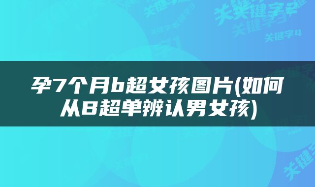 孕7个月b超女孩图片(如何从B超单辨认男女孩)