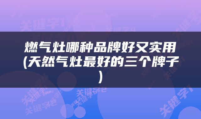 燃气灶哪种品牌好又实用(天然气灶最好的三个牌子)