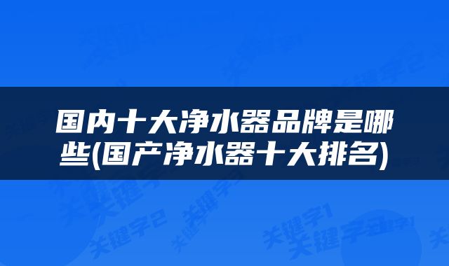 国内十大净水器品牌是哪些(国产净水器十大排名)