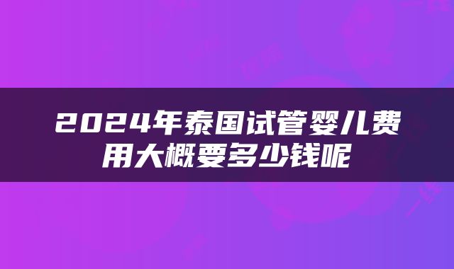 2024年泰国试管婴儿费用大概要多少钱呢
