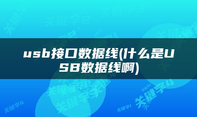 usb接口数据线(什么是USB数据线啊)