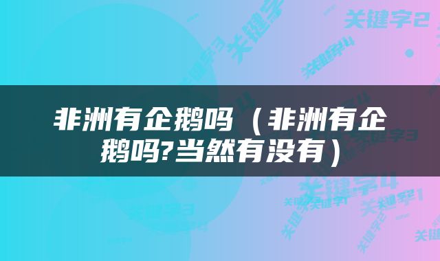 非洲有企鹅吗（非洲有企鹅吗?当然有没有）