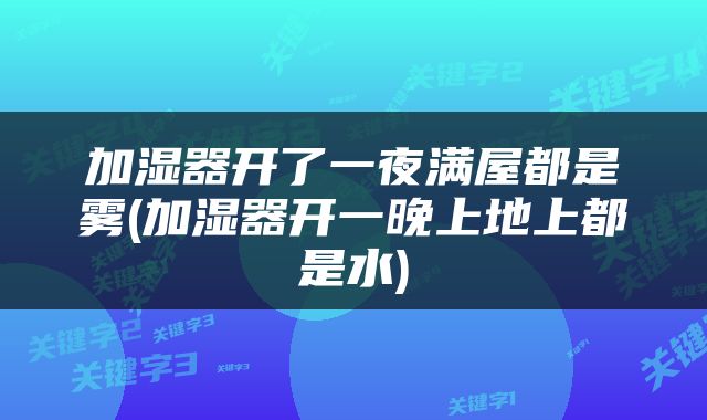 加湿器开了一夜满屋都是雾(加湿器开一晚上地上都是水)