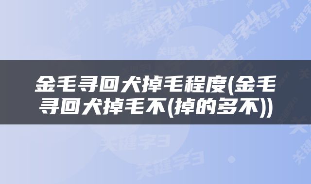 金毛寻回犬掉毛程度(金毛寻回犬掉毛不(掉的多不))