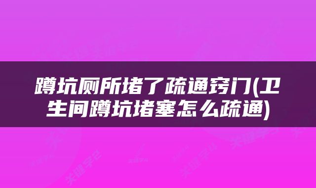 蹲坑厕所堵了疏通窍门(卫生间蹲坑堵塞怎么疏通)