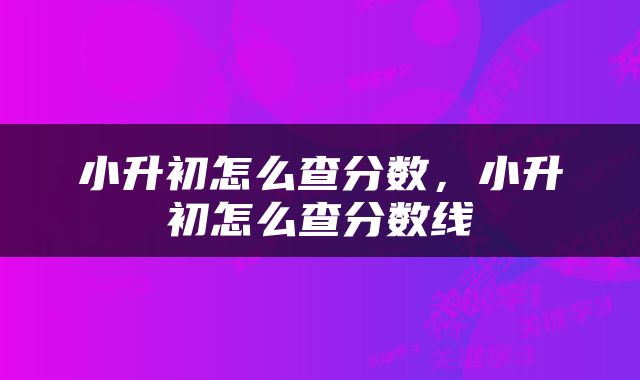 小升初怎么查分数，小升初怎么查分数线